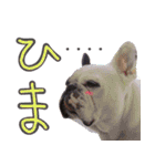 フレブルとロシブ（個別スタンプ：18）