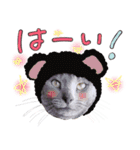 フレブルとロシブ（個別スタンプ：19）