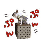 フレブルとロシブ（個別スタンプ：23）