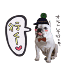 フレブルとロシブ（個別スタンプ：24）
