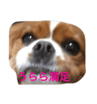 うららスタンプ1（個別スタンプ：2）