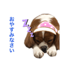 うららスタンプ1（個別スタンプ：4）