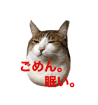 なふ子とあい子と仲間たち★（個別スタンプ：7）