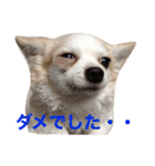 なふ子とあい子と仲間たち★（個別スタンプ：9）