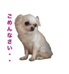 なふ子とあい子と仲間たち★（個別スタンプ：17）