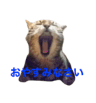 なふ子とあい子と仲間たち★（個別スタンプ：20）