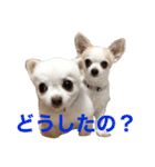 なふ子とあい子と仲間たち★（個別スタンプ：23）