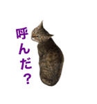 なふ子とあい子と仲間たち★（個別スタンプ：25）