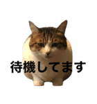 なふ子とあい子と仲間たち★（個別スタンプ：28）
