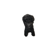 愛くるしいすたんぷ（個別スタンプ：2）
