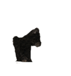 愛くるしいすたんぷ（個別スタンプ：3）