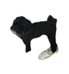 愛くるしいすたんぷ（個別スタンプ：6）