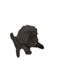 愛くるしいすたんぷ（個別スタンプ：7）