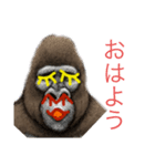 ゴリ丸くん①（個別スタンプ：6）