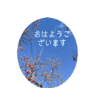 毎日使える おはよう他 いやされ系（個別スタンプ：3）