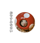 うにちゃんとチャイくん（個別スタンプ：3）