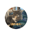 にゃんたろうですぅ（個別スタンプ：3）