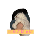 Come fam（個別スタンプ：2）