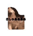 Come fam（個別スタンプ：5）