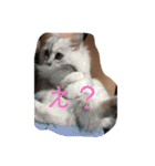 Come fam（個別スタンプ：7）