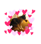 三毛猫ミナちゃん②（個別スタンプ：2）
