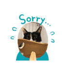 三毛猫ミナちゃん②（個別スタンプ：4）