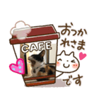 三毛猫ミナちゃん②（個別スタンプ：5）