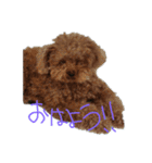 ペット大集合です（個別スタンプ：2）