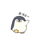 シロクマくんとペンギンくん（個別スタンプ：1）