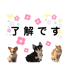 仲良し動物たちのすたんぷ（個別スタンプ：2）