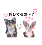 仲良し動物たちのすたんぷ（個別スタンプ：3）