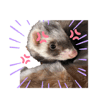 仲良し動物たちのすたんぷ（個別スタンプ：6）