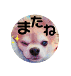 ココアといくら（個別スタンプ：3）