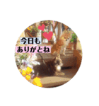 ココアといくら（個別スタンプ：4）