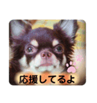 ココアといくら（個別スタンプ：8）