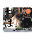 ココアといくら（個別スタンプ：9）
