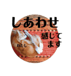 ココアといくら（個別スタンプ：13）