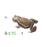 昆虫・爬虫類・両生類のスタンプ（個別スタンプ：5）