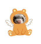 我が家のきーちゃん1（個別スタンプ：15）