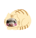 我が家のきーちゃん1（個別スタンプ：16）