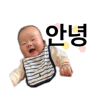 シュたんぷ（個別スタンプ：30）