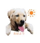 ラブU^ェ^U パート1（個別スタンプ：1）