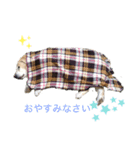 ラブU^ェ^U パート1（個別スタンプ：2）