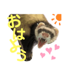 フェレットグルートくんティアちゃん（個別スタンプ：2）