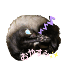 フェレットグルートくんティアちゃん（個別スタンプ：3）