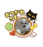 チワワ柴MIXのごあいさつスタンプ♡（個別スタンプ：4）