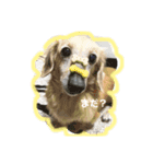 ディラン！！（個別スタンプ：8）