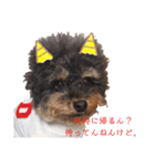 私の警備員（個別スタンプ：2）