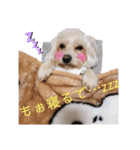 私の警備員（個別スタンプ：6）