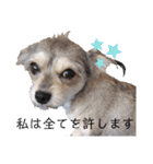 私の警備員（個別スタンプ：11）
